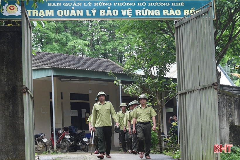 Các chủ rừng lớn ở Hà Tĩnh cảnh giác cao với nắng nóng