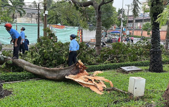 Cây xanh ngã đổ gãy đổ trên đường Nguyễn Văn Trị phường Hòa Bình. Ảnh: Thái Hà