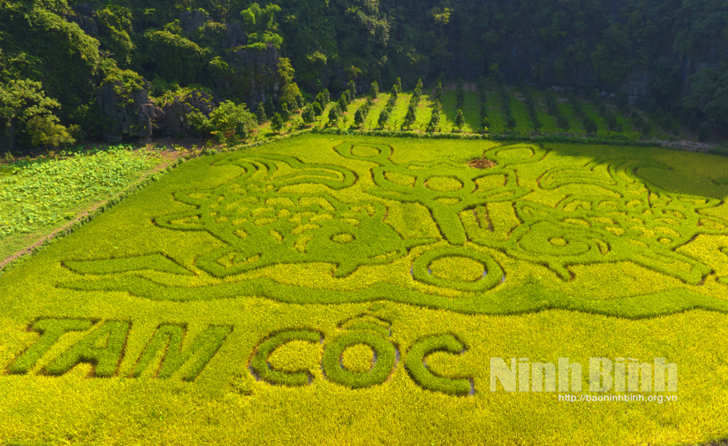 Hoa Lư kiểm tra công tác chuẩn bị Tuần Du lịch Ninh Bình