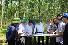 Kiểm tra, x ử lý các vướng mắc trong giải phóng mặt bằng và tái định cư thuộc d ự án cao tốc Vạn Ninh - Cam Lộ