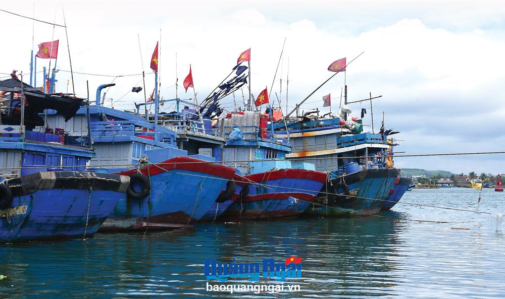 Tàu làm nghề lưới chuồn của ngư dân làng chài Định Tân, xã Bình Châu (Bình Sơn).
                     Ảnh: Ý Thu