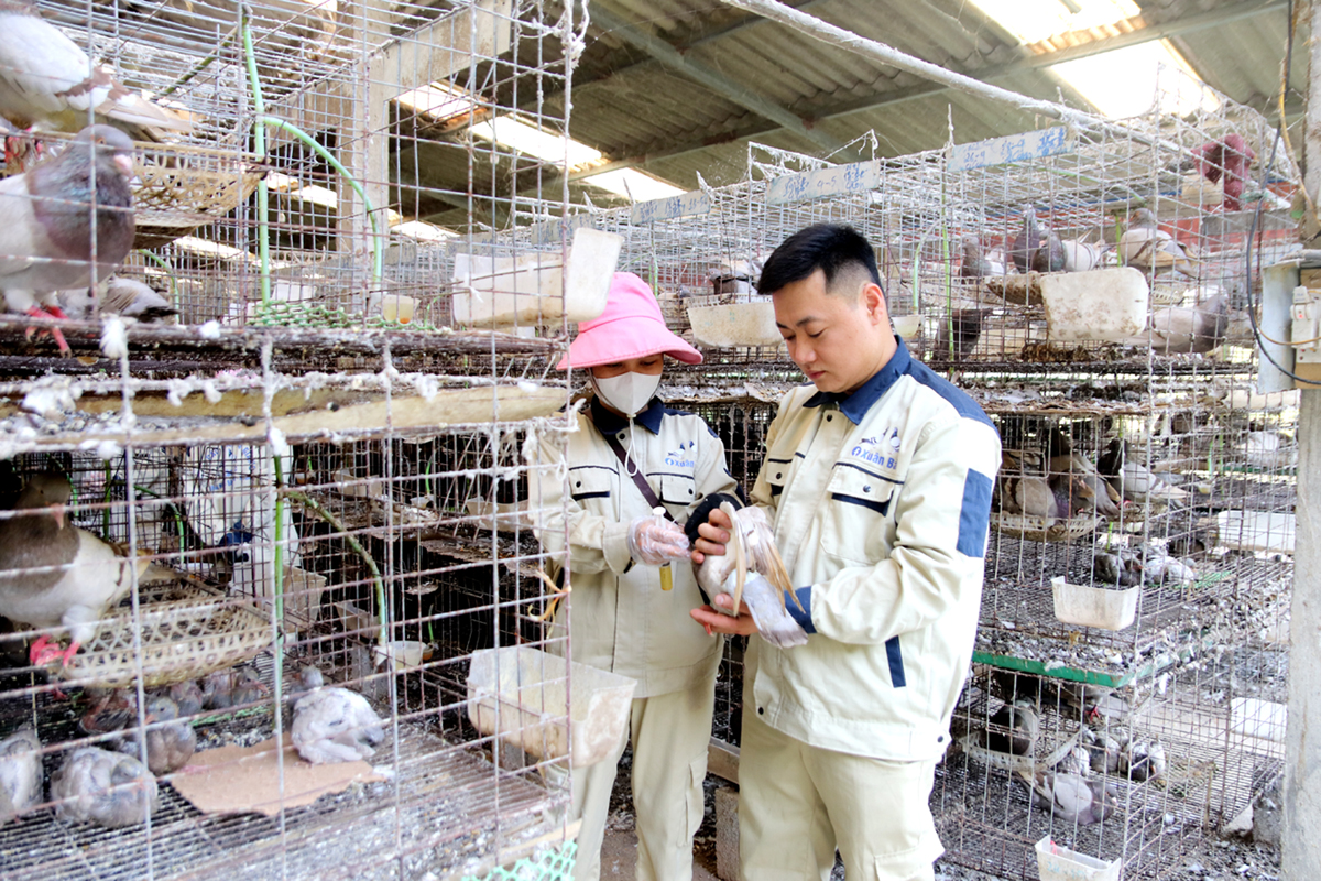 Vốn tín dụng chính sách xã hội giúp anh Hứa Văn Bắc, xã Quang Minh (Bắc Quang) khởi nghiệp thành công.
									Ảnh: THU PHƯƠNG