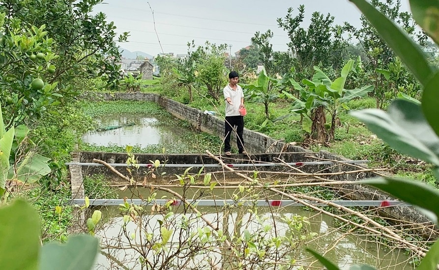 ha nam cho vay theo nghi quyet so 11 giup phuc hoi va phat trien kinh te