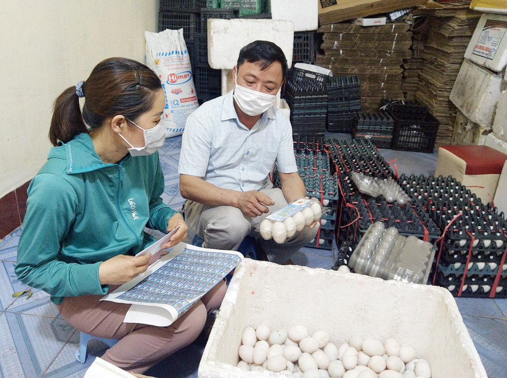 Lãnh đạo HND huyện Tiên Yên tư vấn xây dựng nhãn hiệu tập thể trứng vịt biển Đồng Rui cho HTX Chăn nuôi và Dịch vụ Đồng Tiến (xã Đồng Rui).