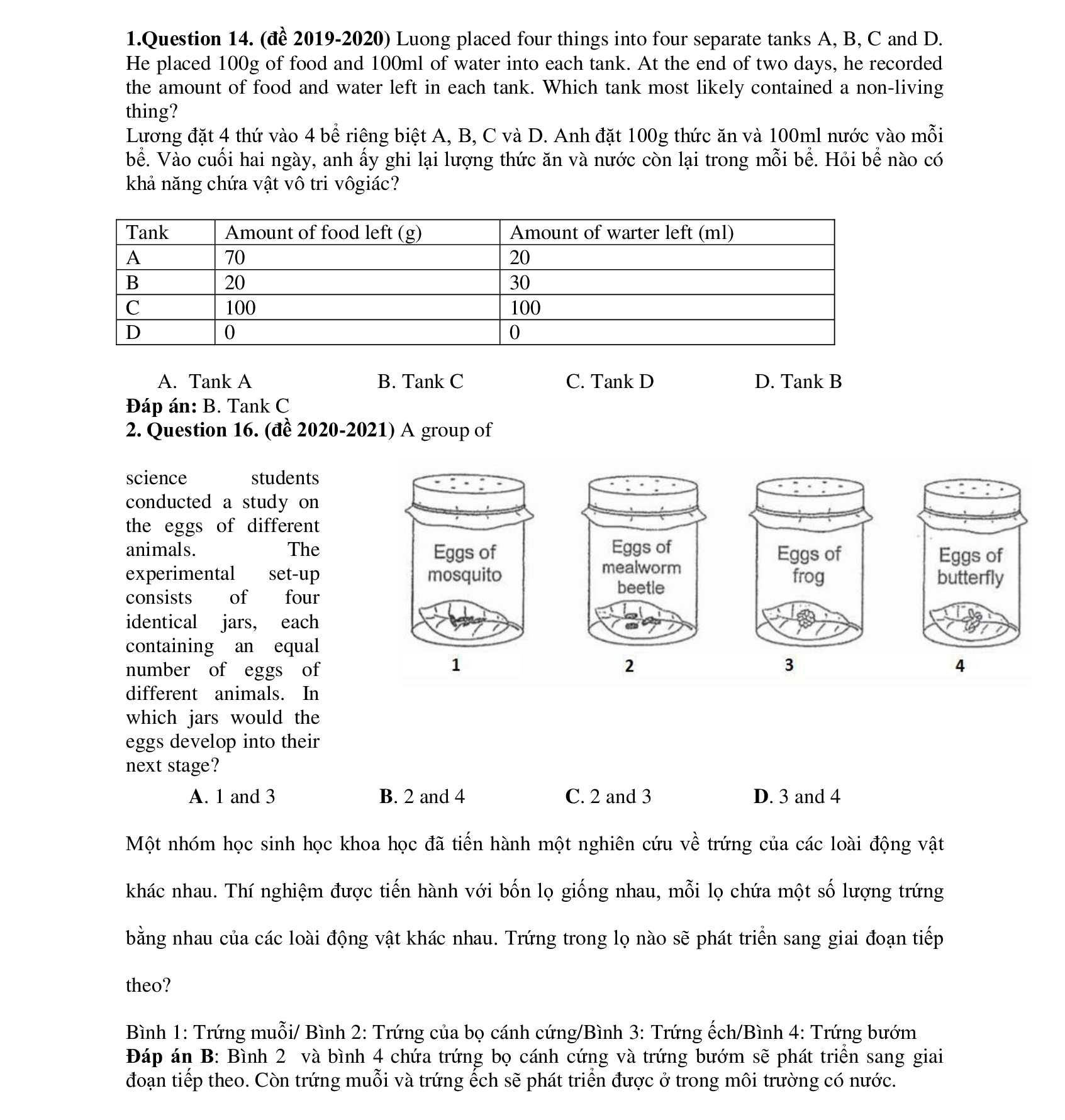 Có gì trong đề bài khảo sát năng lực lớp 6 Trường THPT chuyên Trần Đại Nghĩa? - Ảnh 3.