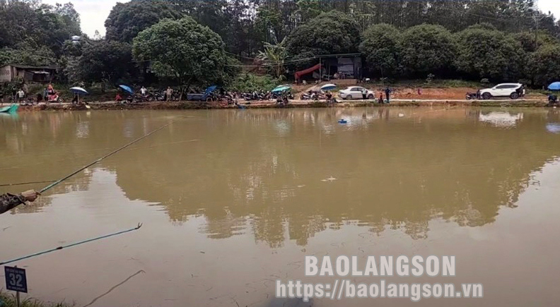 "Cuộc đời vẫn đẹp sao" và "Đừng làm mẹ cáu" được đề cử giải Mai Vàng 2023