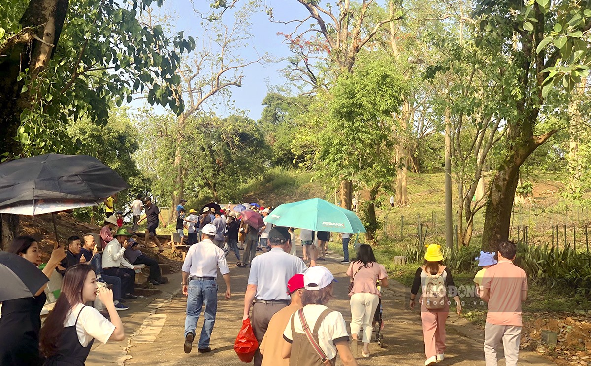 Ngược dòng thời gian trở về 69 năm trước, chiều 7.5.1954, cả quả đồi A1 - cứ điểm cuối cùng của quân đội Pháp đã chìm trong khói lửa. Quân đội Việt Nam đã hoàn toàn làm chủ chiến trường và bắt sống toàn bộ tướng lĩnh chỉ huy của quân địch.