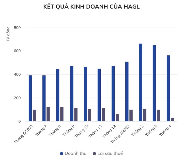 Giá heo xuống thấp, lợi nhuận Hoàng Anh Gia Lai chạm đáy - 1