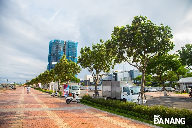 Hàng cây mù u rực sắc trên tuyến đường Bạch Đằng (quận Hải Châu) trong làn nắng chiều.