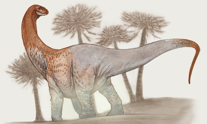 Hình ảnh phục dựng của khủng long Chucarosaurus diripienda. Ảnh: Sebastián Rozadilla