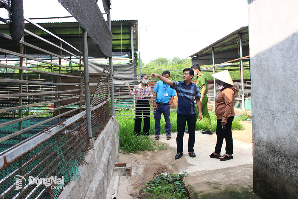 Đoàn kiểm tra liên ngành của H.Thống Nhất kiểm tra cơ sở chăn nuôi vịt của bà Nguyễn Thị Hồng tại xã Lộ 25