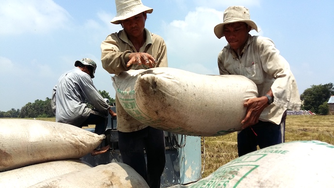 Xuất khẩu gạo bốn tháng đầu năm thu về hơn 1,5 tỉ đô la Mỹ. Ảnh: Trung Chánh