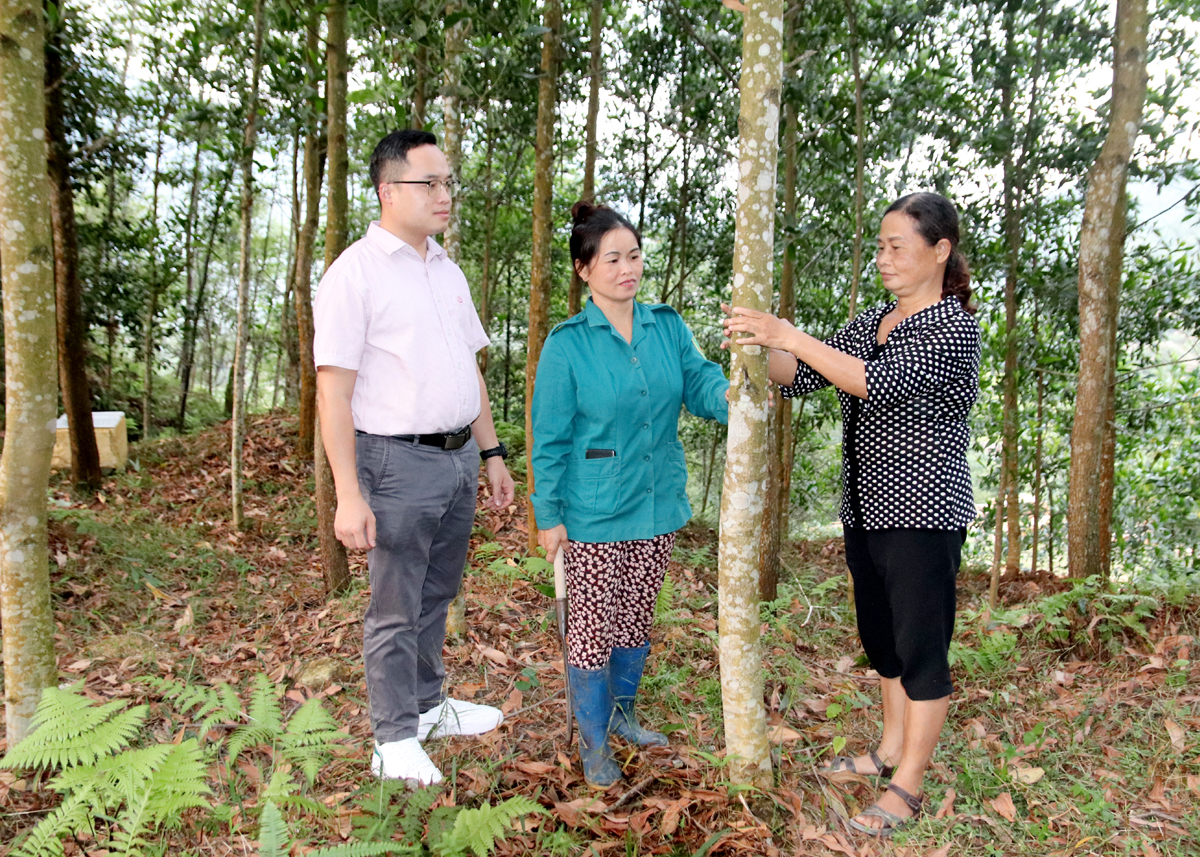 Lãnh đạo Phòng giao dịch Ngân hàng Chính sách xã hội huyện Bắc Quang kiểm tra việc sử dụng vốn vay phát triển kinh tế của khách hàng tại thôn Cầu Thủy (thị trấn Việt Quang).
