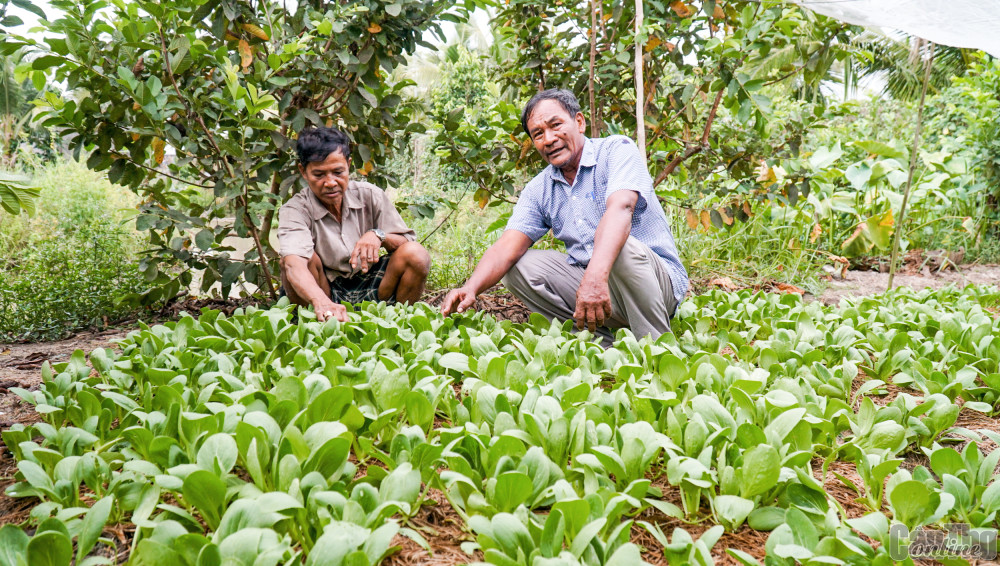 Ông Đào Mến (bên phải) thăm, động viên gia đình ông Nguyễn Long Hải phát triển mô hình trồng rau sạch.