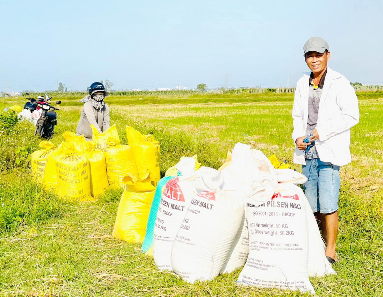 Vụ đông xuân này, năng suất lúa ở nhiều nơi đạt khá cao nên nông dân rất phấn khởi. Ảnh: N.P