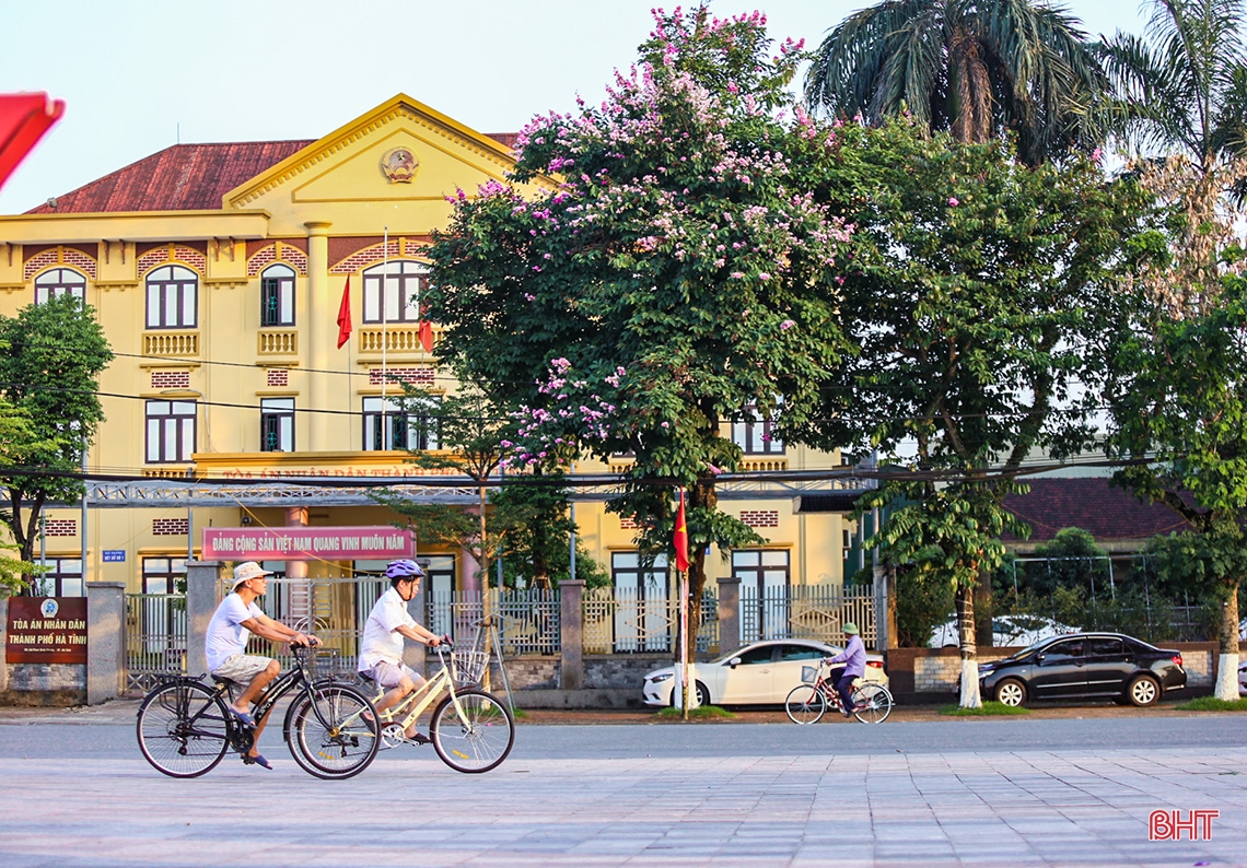 Ngắm vẻ đẹp của hoa bằng lăng trên phố phường Hà Tĩnh