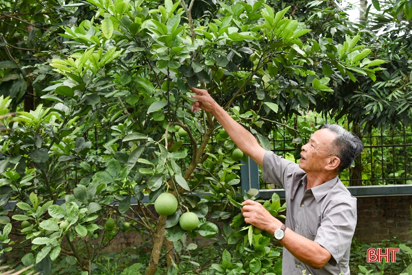 Người thương binh giỏi việc nhà, hăng hái việc làng