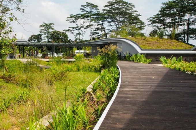 Không gian xanh mát với thảm thực vật đa dạng ngay từ cổng vào Kranji Gate, Kranji Marshes. Ảnh: Kranji Marshes