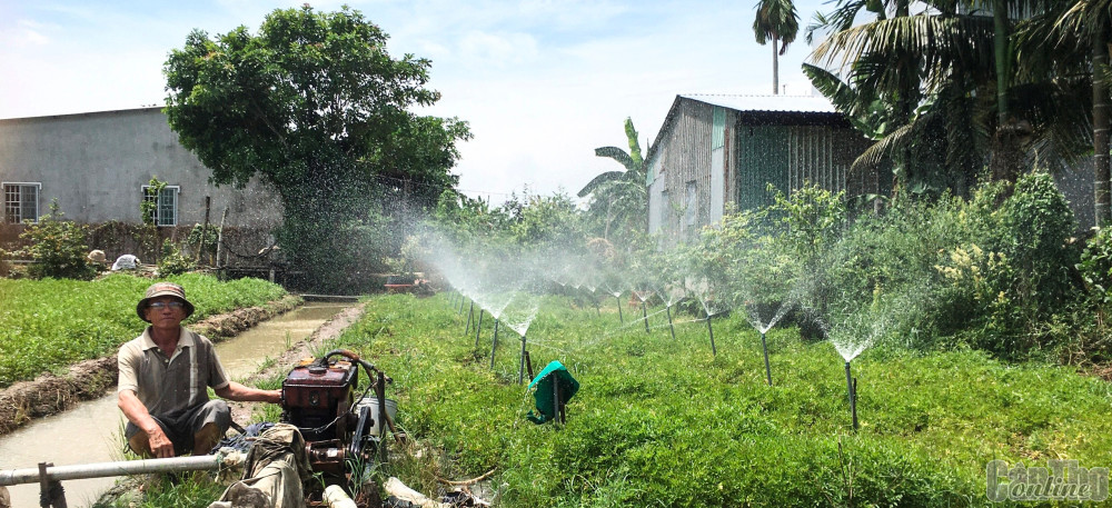 Phát huy hiệu quả vốn vay, hội viên nông dân phường Thới Thuận, quận Thốt Nốt trồng rau màu đạt lợi nhuận cao.