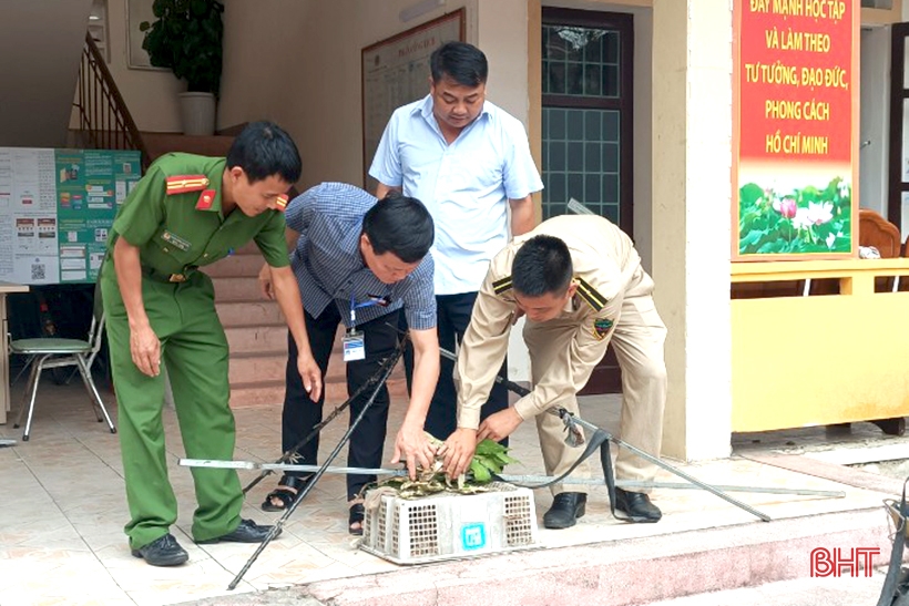 Phạt 5 triệu đồng đối tượng bẫy 200 con chim sẻ giữa trung tâm thành phố