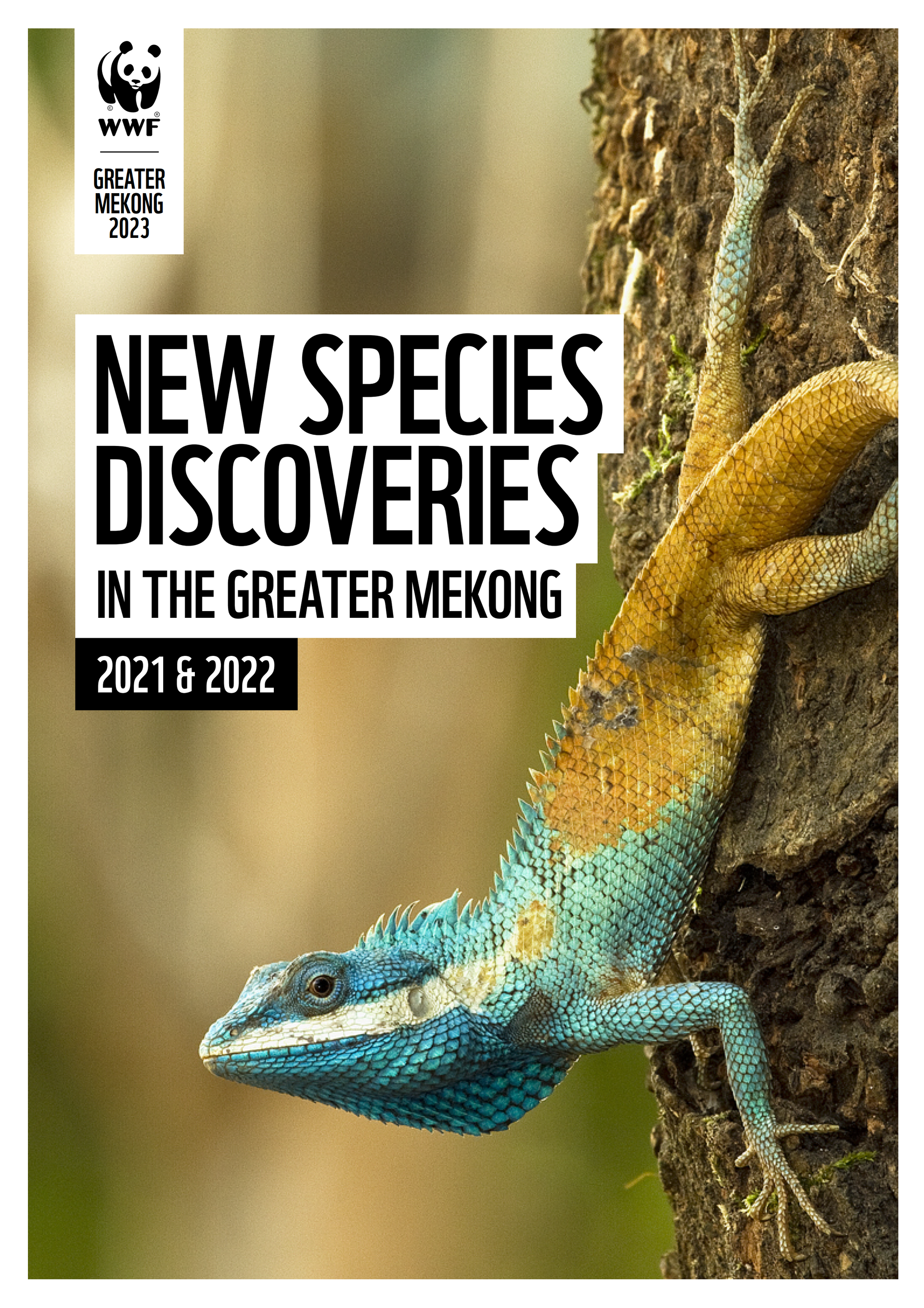 original_gm_new_species_report_cover_1.png