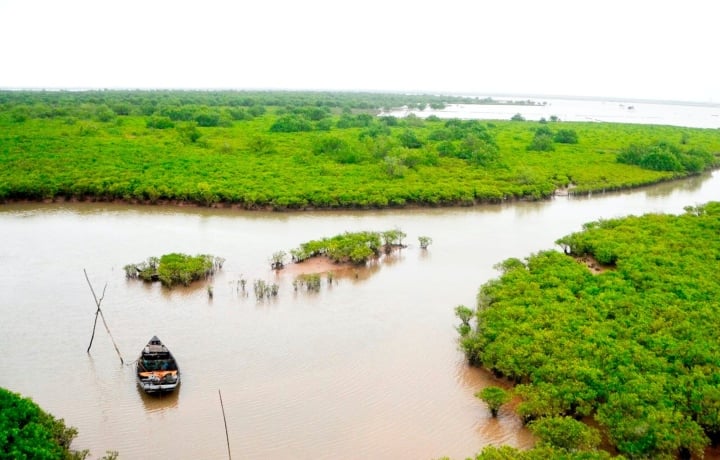 Học sinh tử vong khi trải nghiệm bắt ngao: Sở GD&ĐT Hà Nội nói gì? - 1