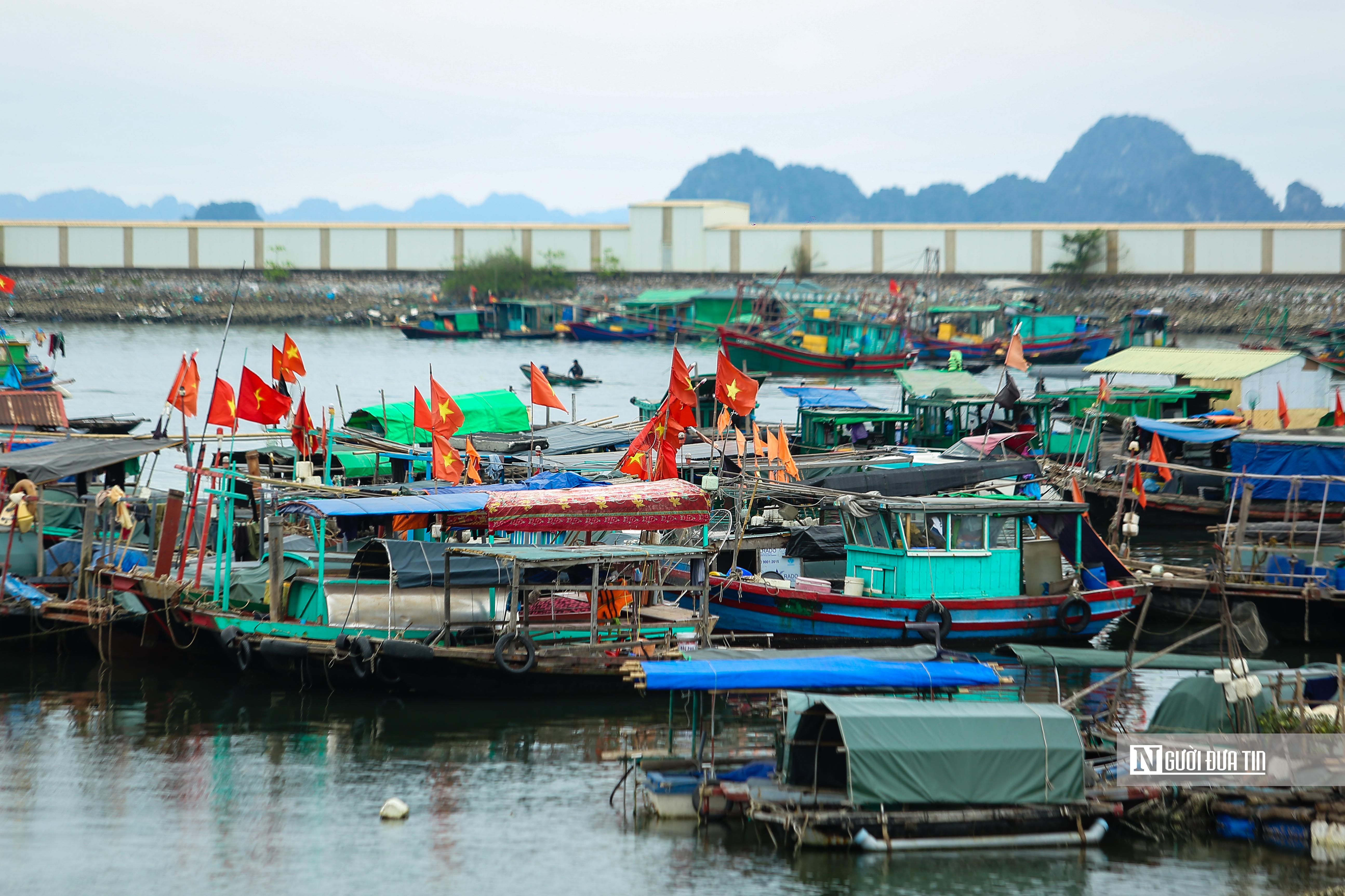 Chính sách - Quyết liệt triển khai các giải pháp trọng tâm chống khai thác IUU (Hình 2).