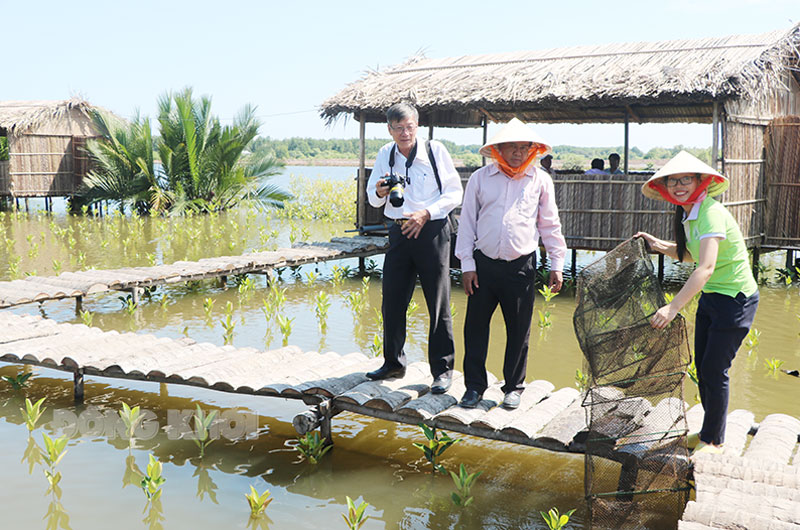 Khai thác thủy sản kết hợp trồng rừng tại Nông trại du lịch Người Giữ Rừng, xã Thạnh Phước, huyện Bình Đại. 