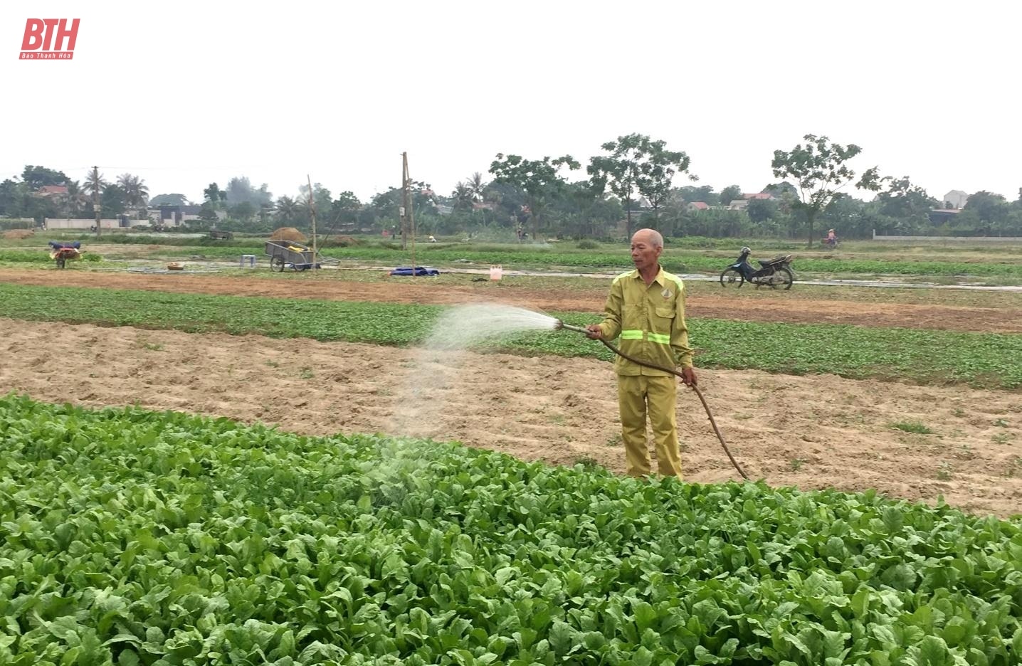 Toàn tỉnh có hơn 18.095 ha cây trồng nguy cơ thiếu nước, ảnh hưởng năng suất