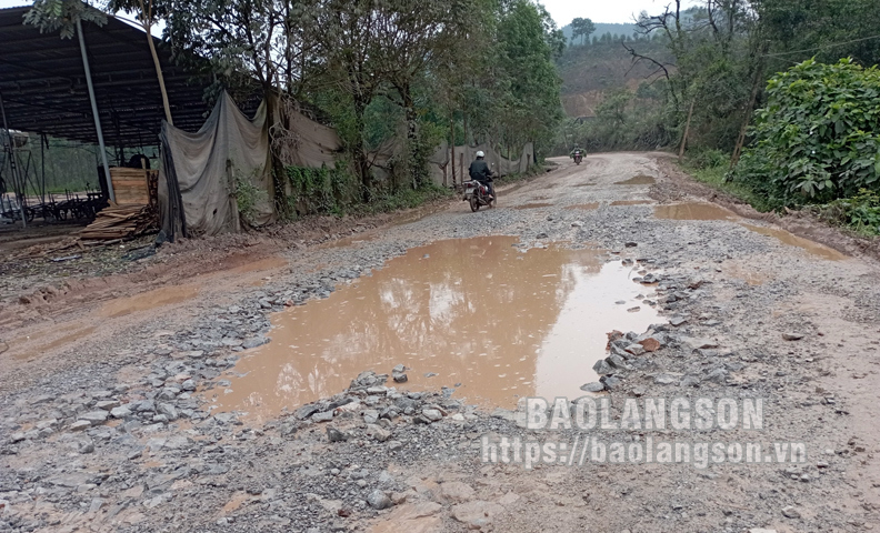 Tổng cục Quản lý thị trường yêu cầu xử lý nghiêm việc buôn bán, vận chuyển lợn trái phép qua biên giới