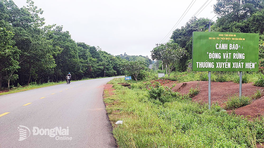 Phương án đầu tư tuyến đường kết nối tỉnh Bình Phước và Đồng Nai không đi qua khu dự trữ sinh quyển Đồng Nai được nhiều bộ, ngành, UNESCO và 2 địa phương cơ bản thống nhất