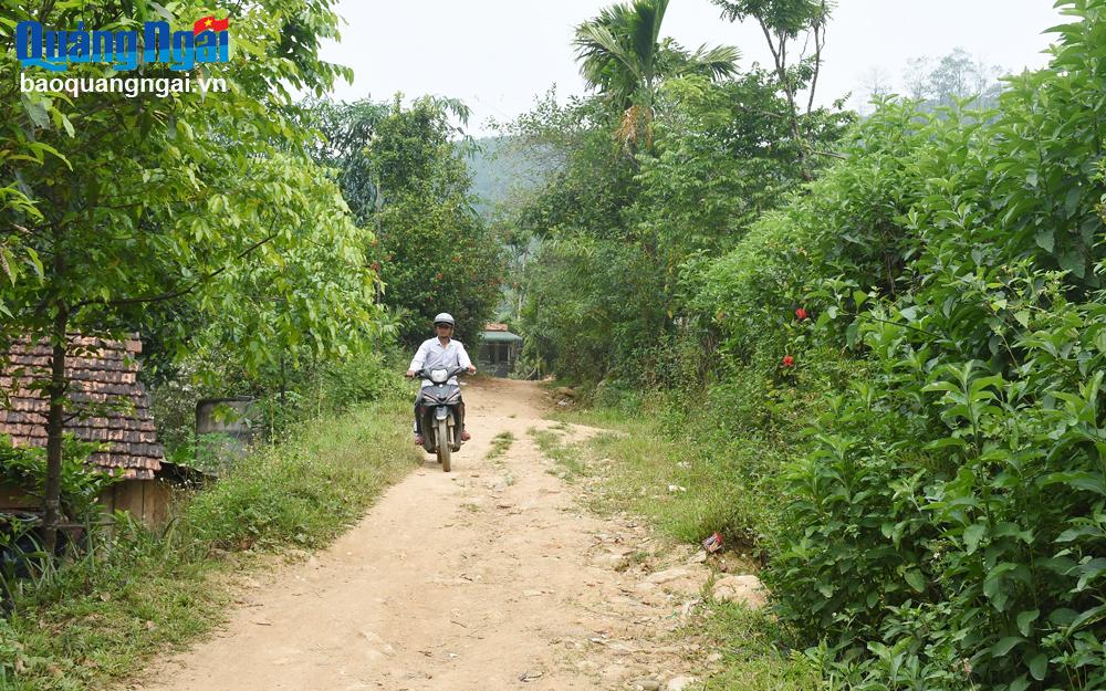  Nhờ anh Đách hiến đất để làm đường, mà đường từ làng đến nơi sản xuất của người dân Làng Diều được mở rộng lên gần 3 mét. Ảnh: Ý TH