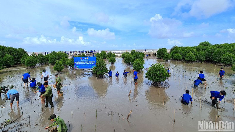 Sôi nổi Chiến dịch Thanh niên tình nguyện hè 2023 tại Cà Mau ảnh 8