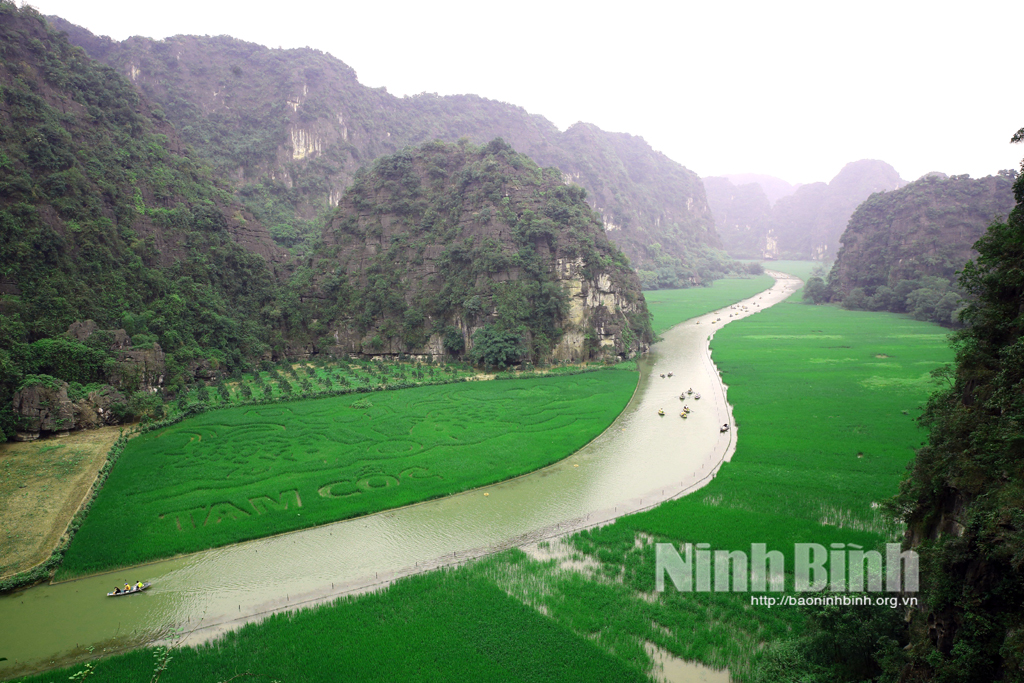 Tuần Du lịch Ninh Bình dự kiến diễn ra từ ngày 205