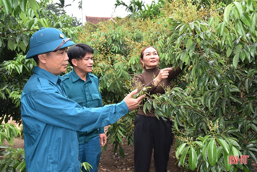 Chỉ huy trưởng quân sự xã giỏi chuyên môn, hăng say xây dựng nông thôn mới