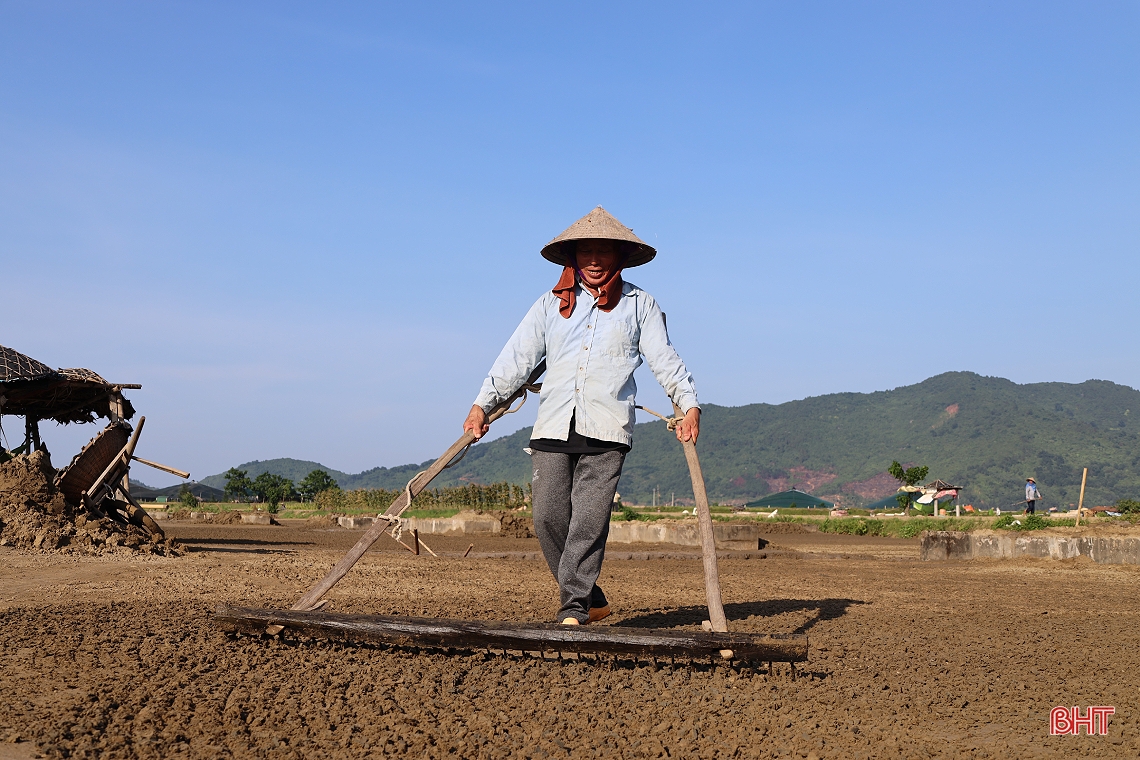 Giá muối tăng, diêm dân Hà Tĩnh phấn khởi bám nắng sản xuất