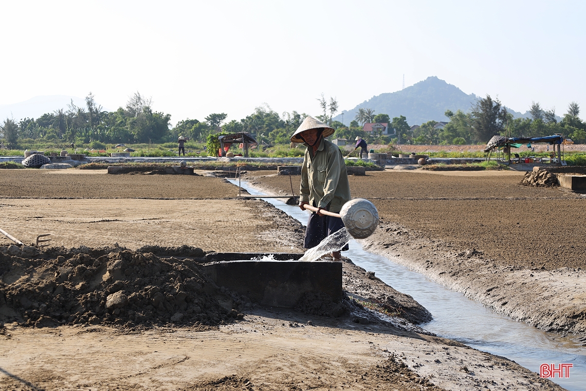 Giá muối tăng, diêm dân Hà Tĩnh phấn khởi bám nắng sản xuất