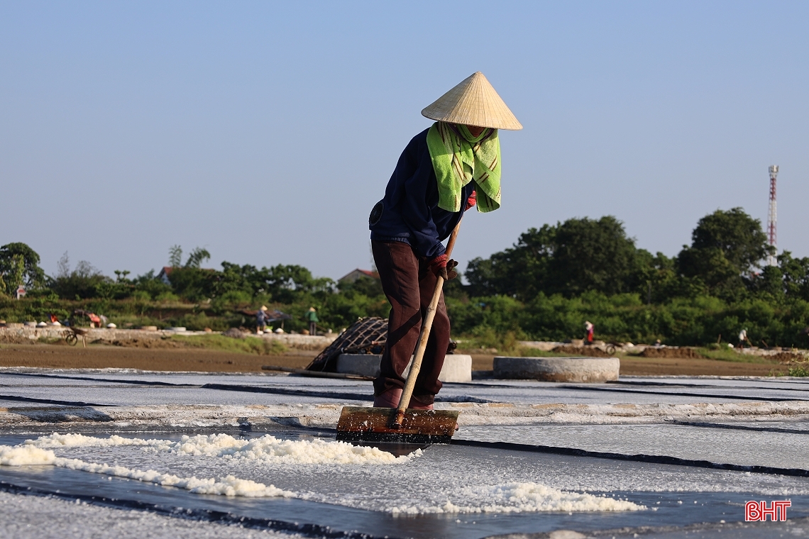 Giá muối tăng, diêm dân Hà Tĩnh phấn khởi bám nắng sản xuất