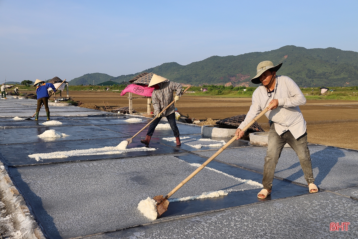 Giá muối tăng, diêm dân Hà Tĩnh phấn khởi bám nắng sản xuất