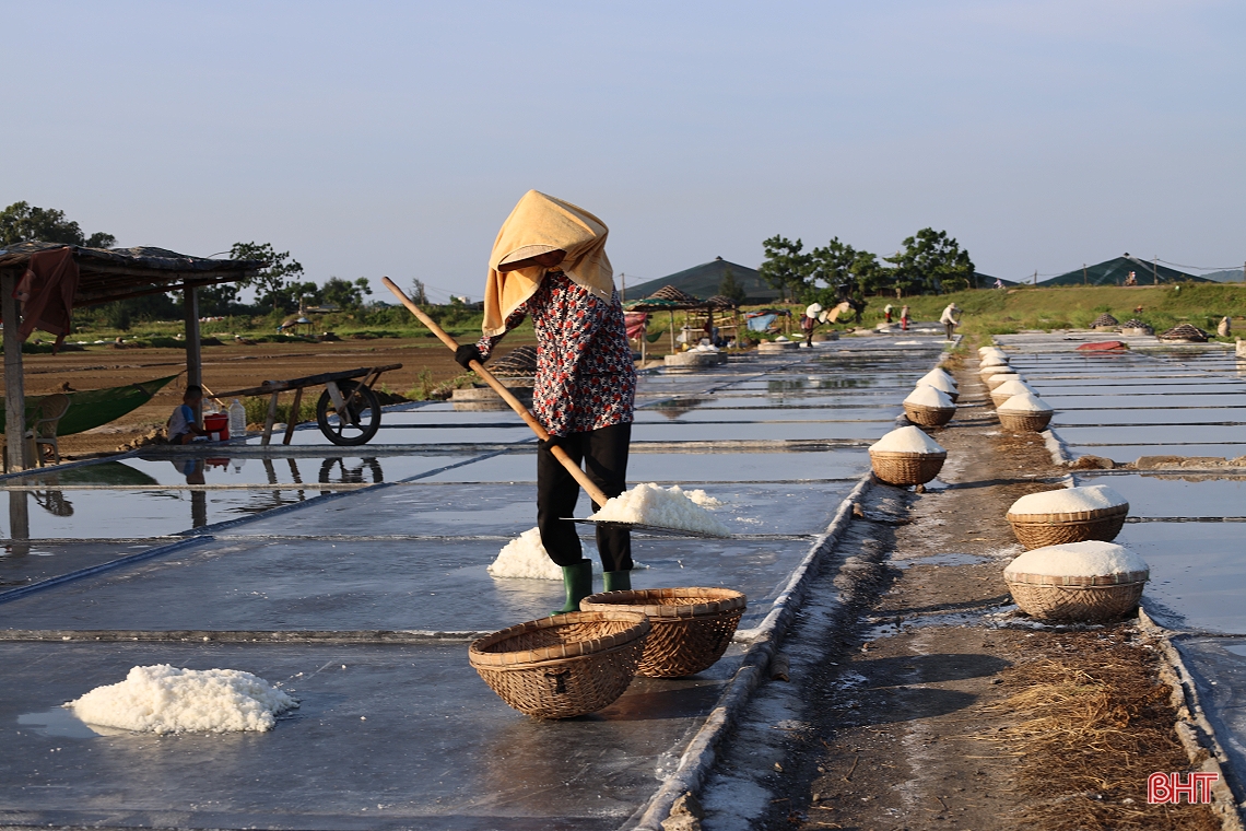 Giá muối tăng, diêm dân Hà Tĩnh phấn khởi bám nắng sản xuất