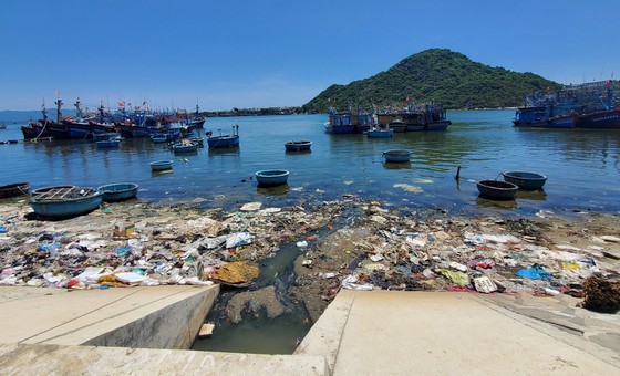 "Hồi sinh" hàng ngàn mét cửa biển sau phản ánh của Báo SGGP ảnh 3