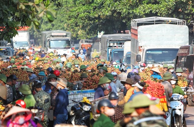 Tieu thu trai cay chinh vu: Da dang thi truong, nang gia tri xuat khau hinh anh 3