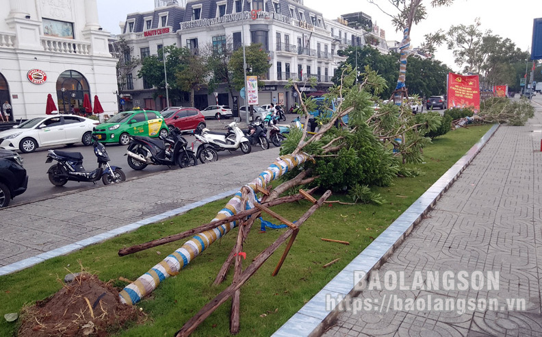 Từ "cú huých" Nghị định thư, xuất khẩu sầu riêng sang thị trường Trung Quốc tăng 10 lần