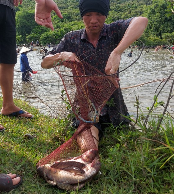 Hàng ngàn người dân nô nức lội Vực Rào bắt cá ảnh 13