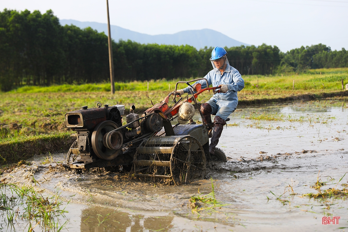 Nông dân Hà Tĩnh chạy đua với lịch gieo cấy hè thu