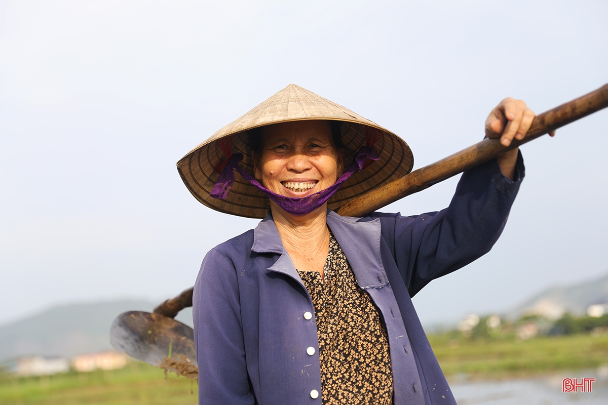 Nông dân Hà Tĩnh chạy đua với lịch gieo cấy hè thu