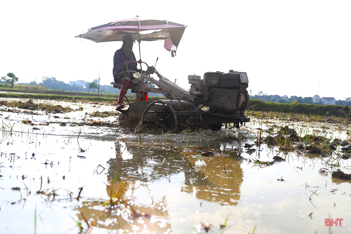 Nông dân Hà Tĩnh chạy đua với lịch gieo cấy hè thu