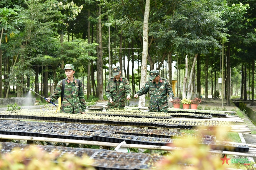 Bộ đội Tiểu đoàn 6, Trung đoàn 1, Sư đoàn 330 (Quân khu 9) ươm hoa giống cung cấp cho các đơn vị trong Trung đoàn. Ảnh: THANH HUY 