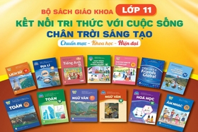 Phê duyệt danh mục sách giáo khoa lớp 4, lớp 8, lớp 11 sử dụng trong cơ sở giáo dục phổ thông