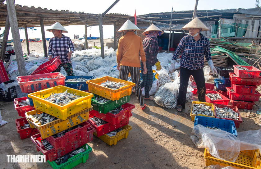 Sắc màu ở chợ cá Bình Minh ảnh 4